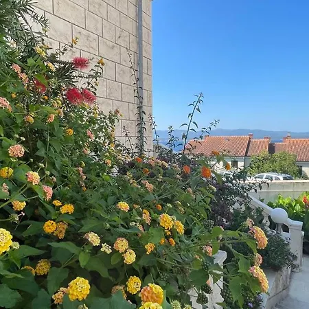 Apartment Ardura - Island **** Bol. Island Brac