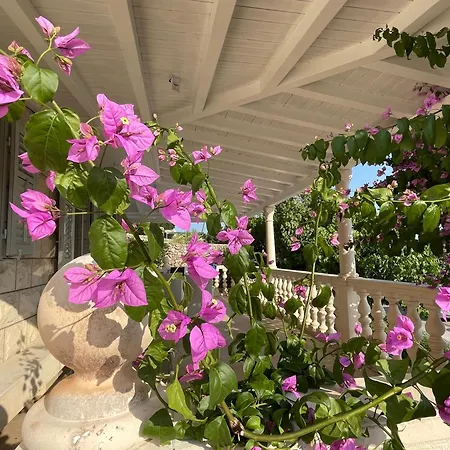 Ardura - Island **** Bol. Island Brac Appartement